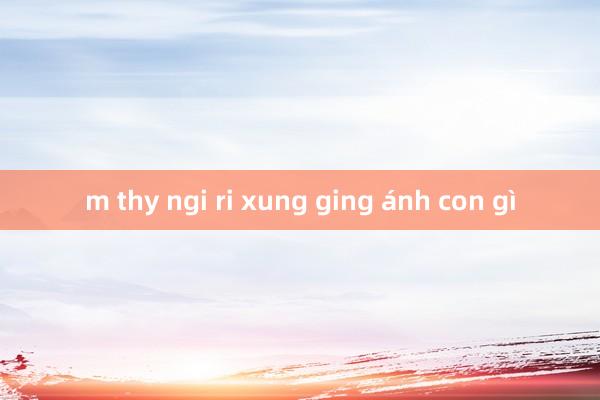 m thy ngi ri xung ging ánh con gì