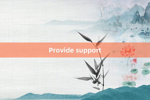 Provide support