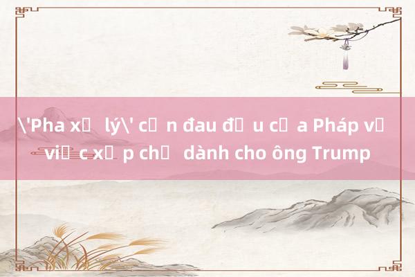 'Pha xử lý' cơn đau đầu của Pháp về việc xếp chỗ dành cho ông Trump