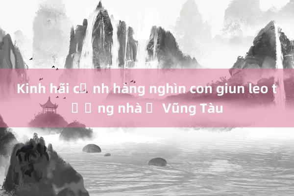 Kinh hãi cảnh hàng nghìn con giun leo tường nhà ở Vũng Tàu