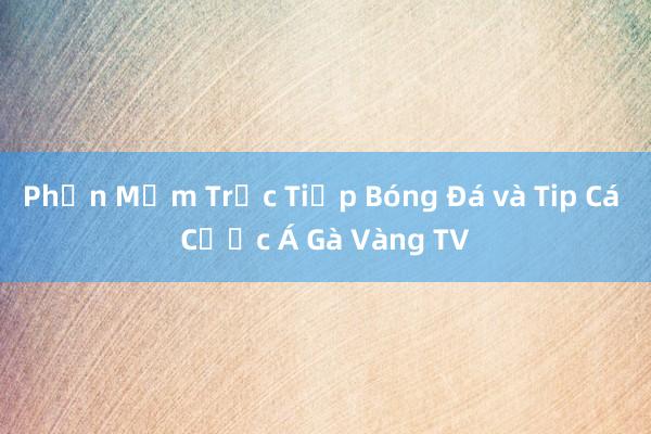 Phần Mềm Trực Tiếp Bóng Đá và Tip Cá Cược Á Gà Vàng TV