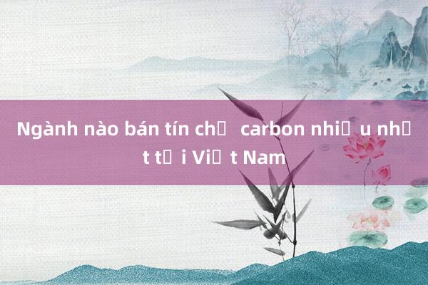 Ngành nào bán tín chỉ carbon nhiều nhất tại Việt Nam