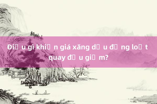 Điều gì khiến giá xăng dầu đồng loạt quay đầu giảm?