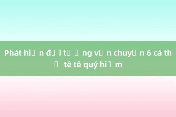 Phát hiện đối tượng vận chuyển 6 cá thể tê tê quý hiếm