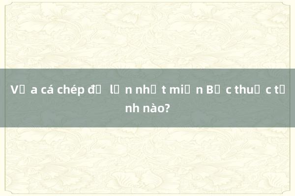 Vựa cá chép đỏ lớn nhất miền Bắc thuộc tỉnh nào?